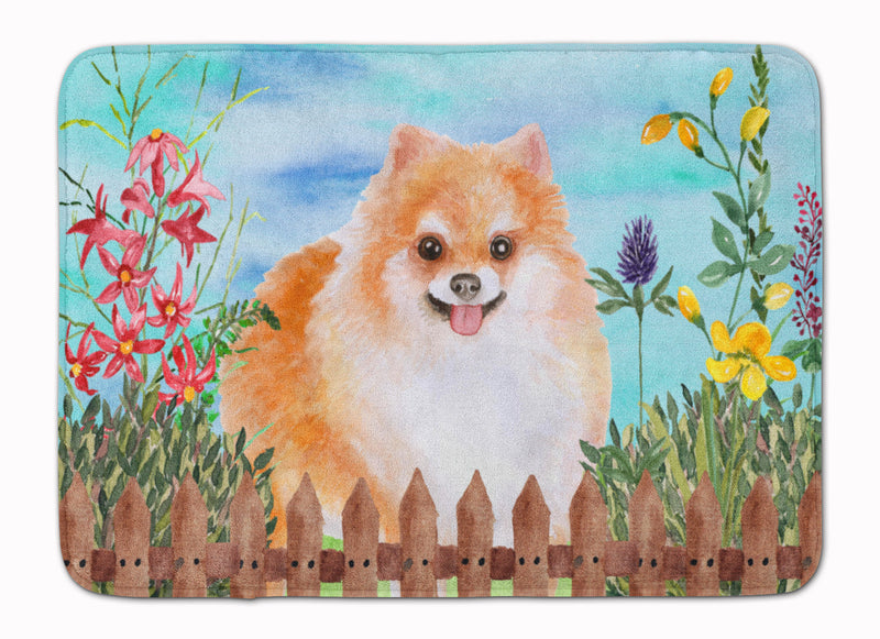 Pomeranian