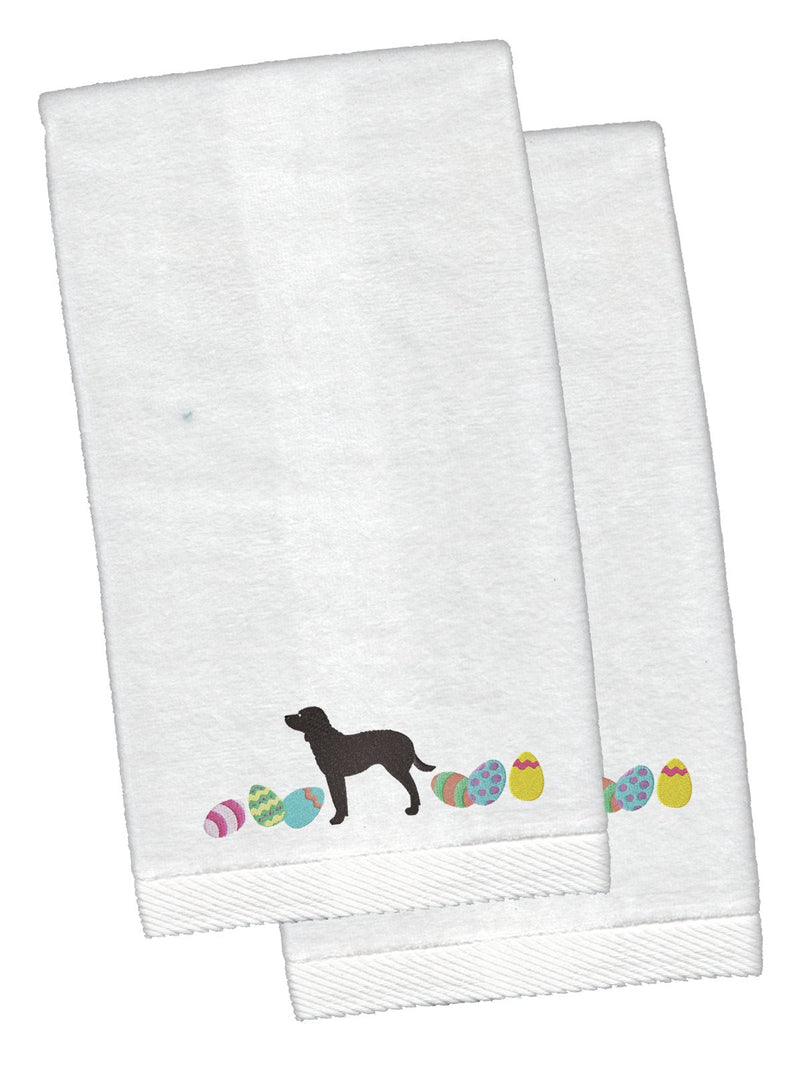 American Water Spaniel Easter White Embroidered Plush Hand Towel Set of 2 CK1597KTEMB