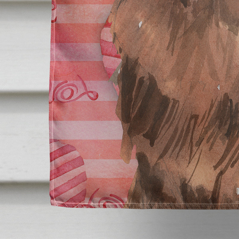 Love a Newfoundland Flag Canvas House Size CK1758CHF