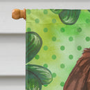 Shamrocks Newfoundland House Flag 28x40 Porch Sleeve Pole Decorative Outside Yard Banner Artwork Wall Hanging, Polyester