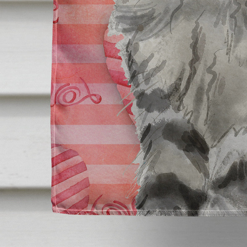 Maine Coon Cat Love Flag Canvas House Size CK3049CHF