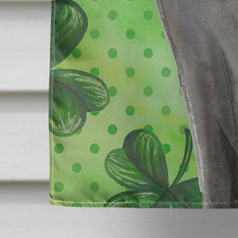 Blue Russian Shamrock Flag Canvas House Size CK3061CHF