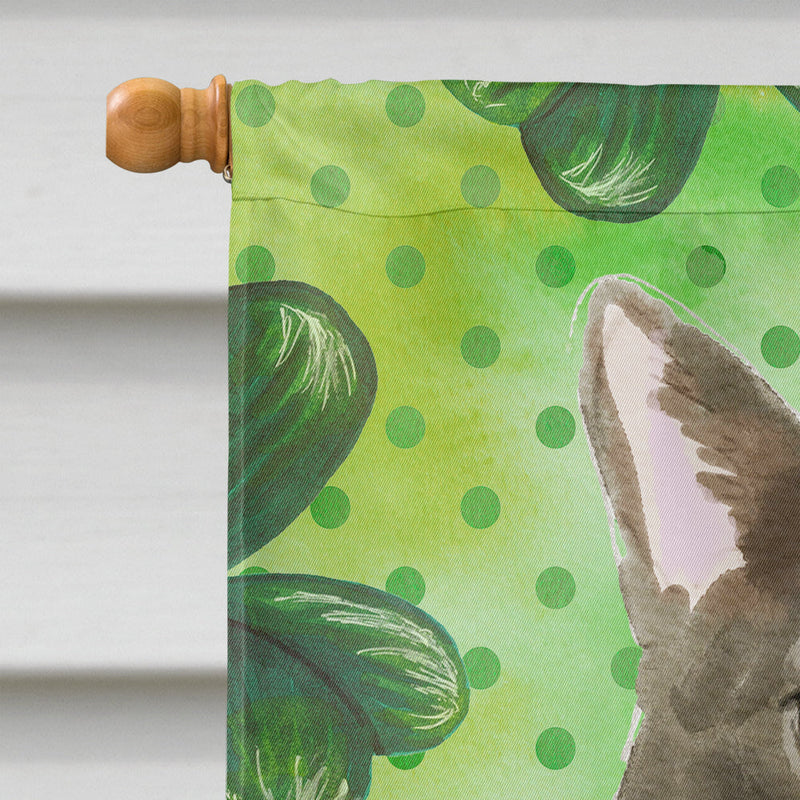 Bombay Shamrock Flag Canvas House Size CK3062CHF