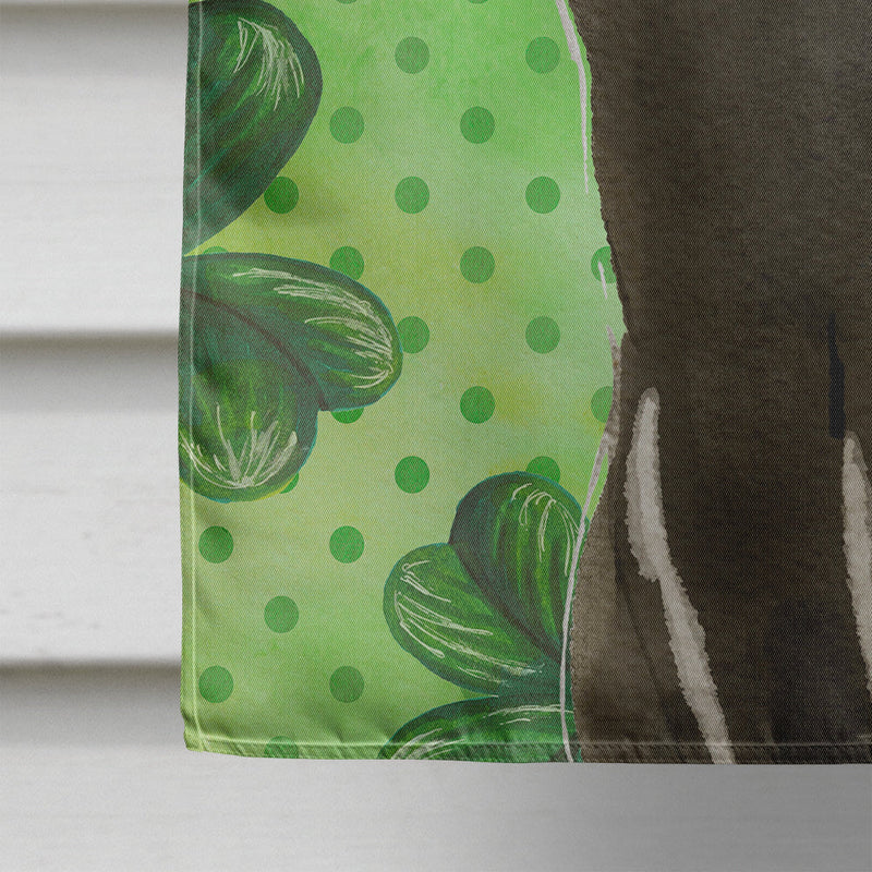 Bombay Shamrock Flag Canvas House Size CK3062CHF