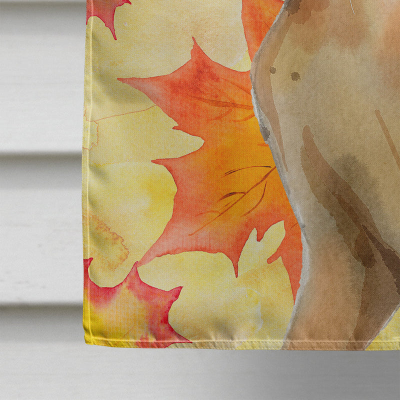 Abyssinian Fall Leaves Flag Canvas House Size CK3072CHF