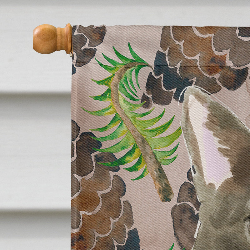 Bombay Pine Cones Flag Canvas House Size CK3092CHF