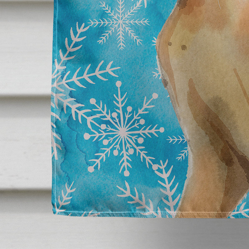 Abyssinian Winter Snowflake Flag Canvas House Size CK3102CHF