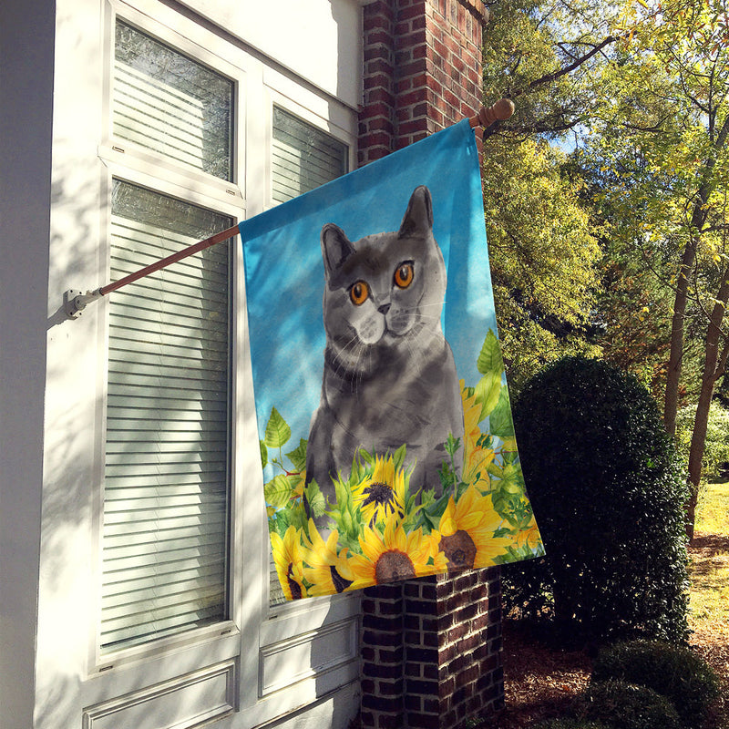 British Shorthair in Sunflowers Flag Canvas House Size CK3153CHF