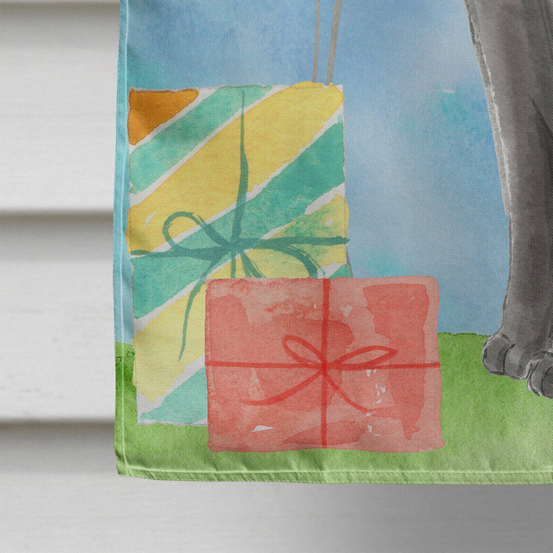 Blue Russian Happy Birthday Flag Canvas House Size CK3166CHF