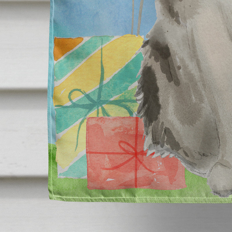 Ragamuffin Happy Birthday Flag Canvas House Size CK3171CHF