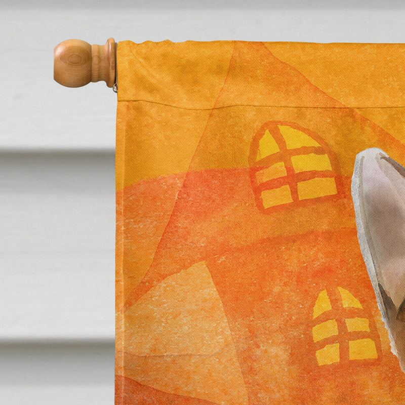 Abyssinian Halloween Flag Canvas House Size CK3177CHF