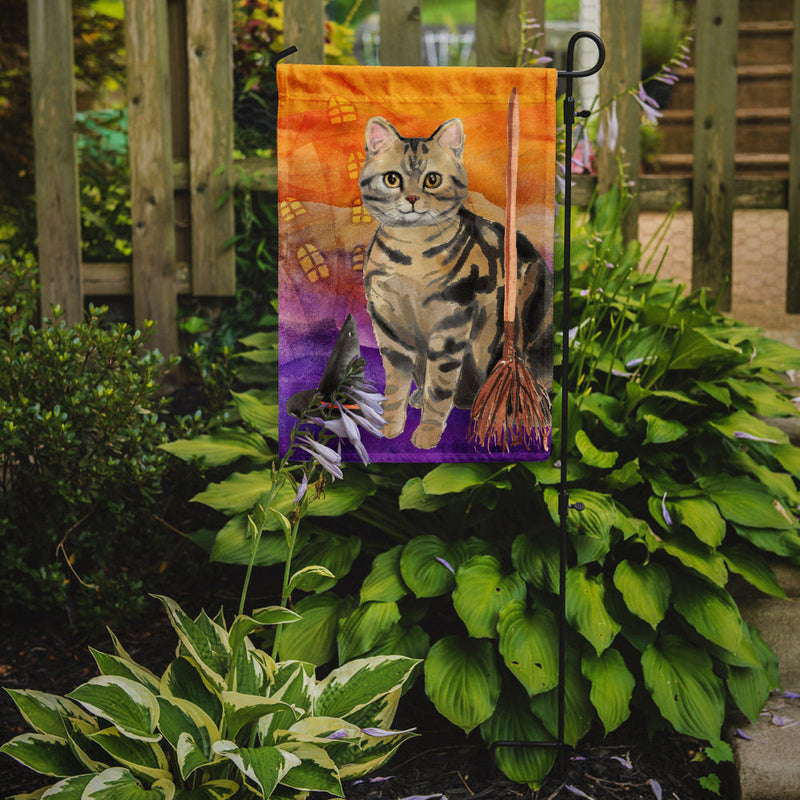 American Shorthair Brown Tabby Halloween Garden Flag - Outdoor Decorative Yard Flag CK3178GF