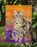 American Shorthair Brown Tabby Halloween Garden Flag - Outdoor Decorative Yard Flag CK3178GF