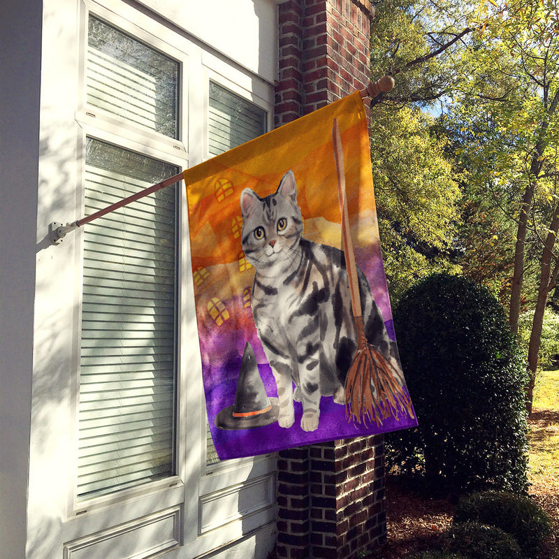 American Shorthair Halloween Flag Canvas House Size CK3179CHF