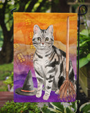 American Shorthair Halloween Garden Flag - Outdoor Decorative Yard Flag CK3179GF