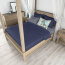 American Shorthair Spring Flowers  Standard Pillowcase – Artistic Decorative Front, White Back CK3388PILLOWCASE