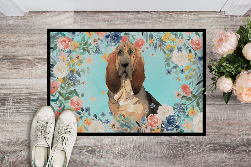 Bloodhound Indoor or Outdoor Mat 18x27 CK3434MAT