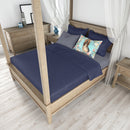 Bloodhound  Standard Pillowcase – Artistic Decorative Front, White Back CK3434PILLOWCASE