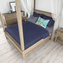 American Hairless Terrier Christmas Tree  Standard Pillowcase – Artistic Decorative Front, White Back CK3514PILLOWCASE