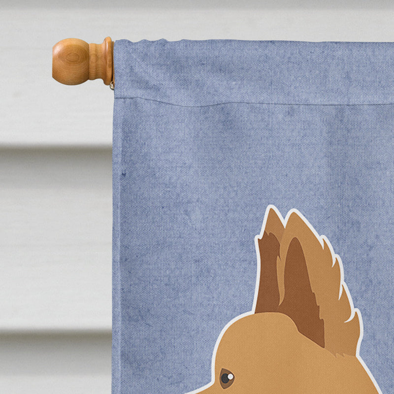 Tan Chion Welcome Flag Canvas House Size CK3720CHF