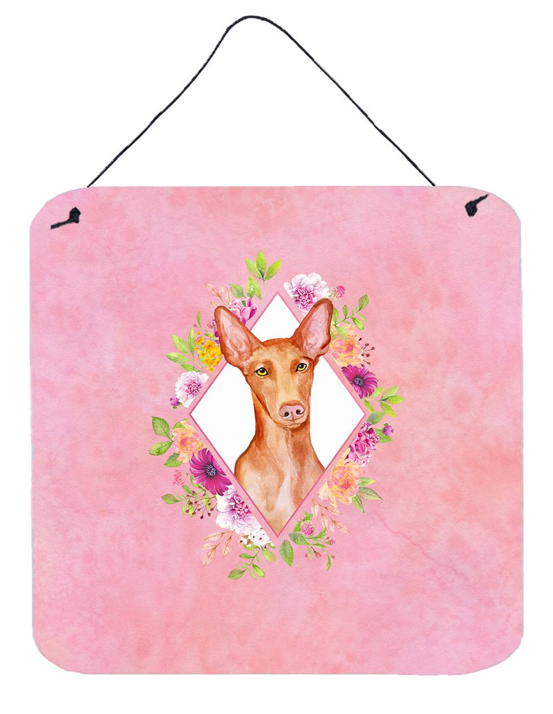 Pharaoh Hound Pink Flowers Wall or Door Hanging Prints CK4168DS66