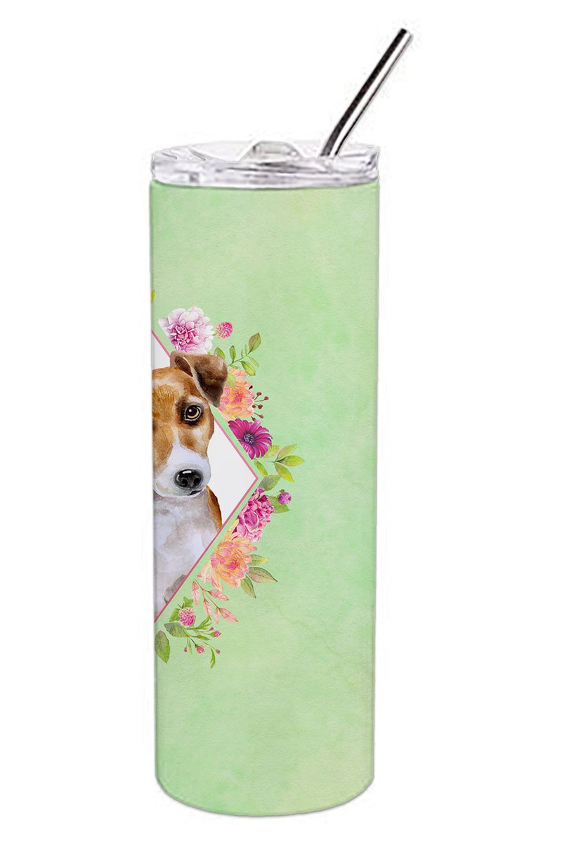 Jack Russell Terrier