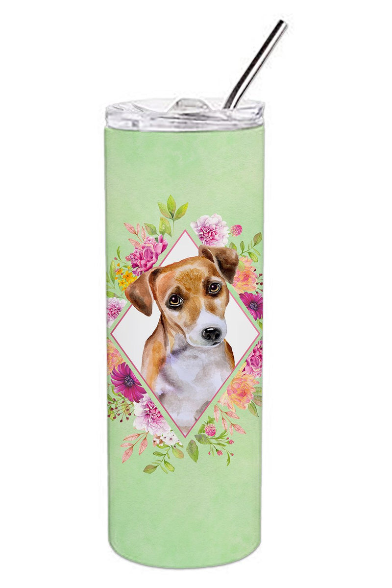 Jack Russell Terrier