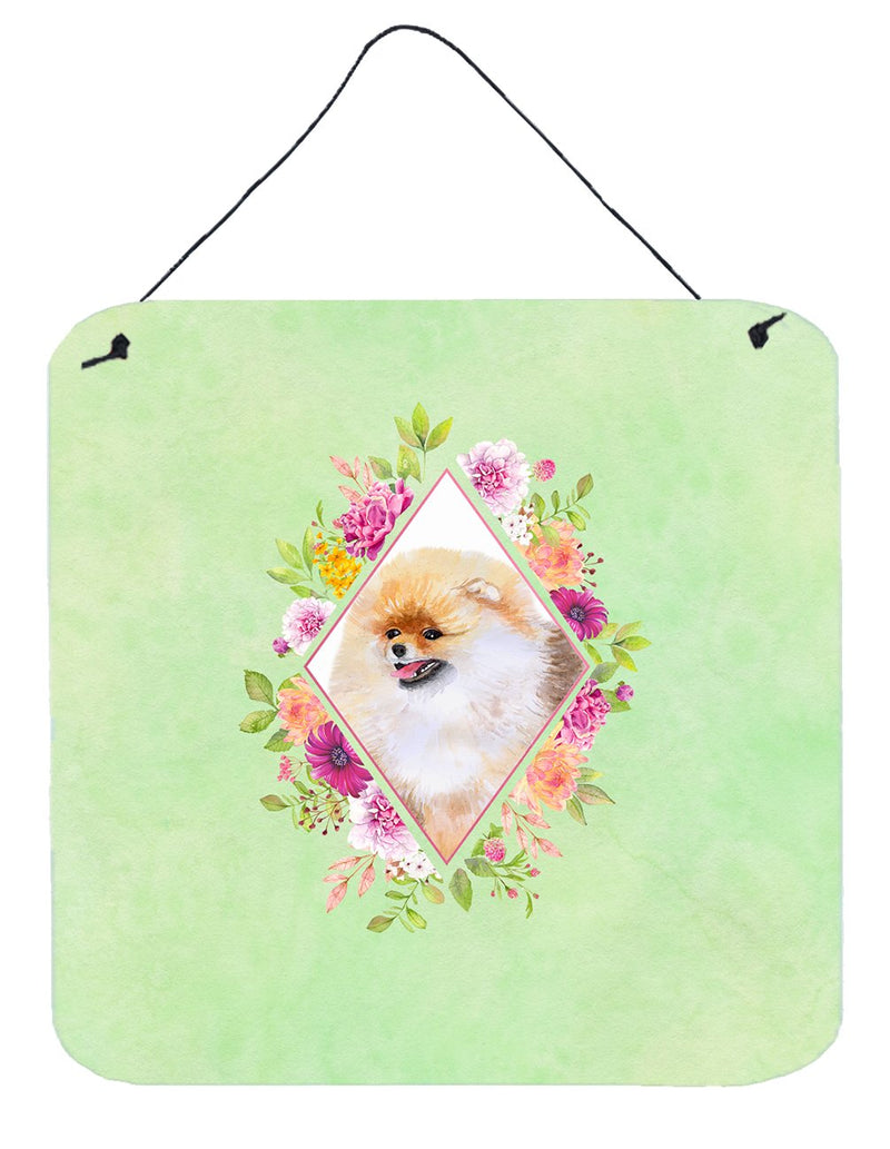 Pomeranian