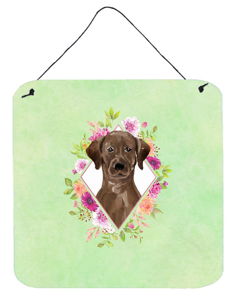 Chocolate Labrador Green Flowers Wall or Door Hanging Prints CK4411DS66