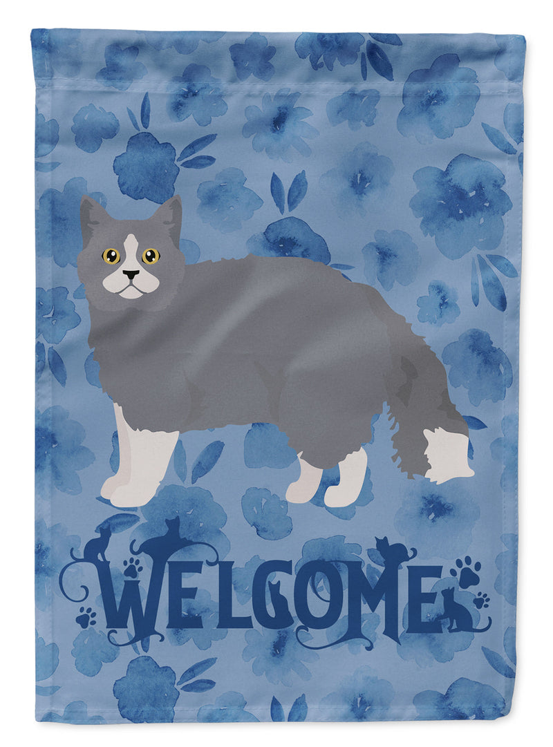 Selkirk Rex