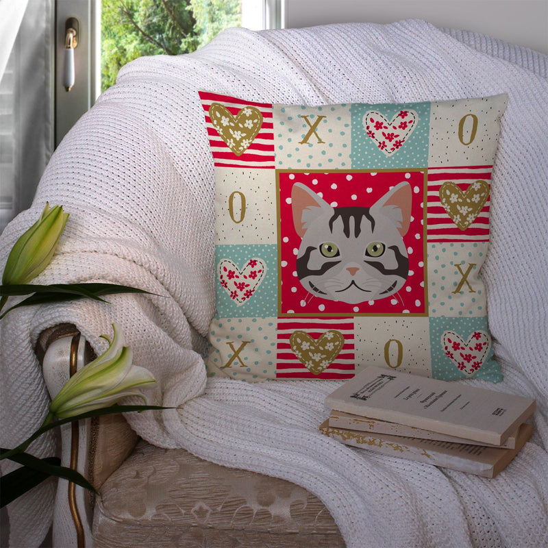 American Shorthair Cat Love Throw Pillow - 14x14 Decorative Pillow – Art for Your Home & Patio CK5082PW1414