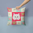 Chinchilla Persian Longhair Cat Love Throw Pillow - 14x14 Decorative Pillow – Art for Your Home & Patio CK5103PW1414