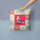 Saxon Fairy Swallow Pigeon Love Throw Pillow - 14x14 Decorative Pillow – Art for Your Home & Patio CK5373PW1414