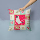 Nun Pigeon Love Throw Pillow - 14x14 Decorative Pillow – Art for Your Home & Patio CK5379PW1414