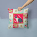 Dutch Rabbit Love Throw Pillow - 14x14 Decorative Pillow – Art for Your Home & Patio CK5385PW1414