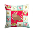 Lionhead Rabbit Love Throw Pillow - 14x14 Decorative Pillow – Art for Your Home & Patio CK5387PW1414