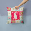 New Zealand White Rabbit Love Throw Pillow - 14x14 Decorative Pillow – Art for Your Home & Patio CK5392PW1414