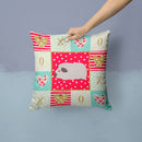 Himalayan Guinea Pig Love Throw Pillow - 14x14 Decorative Pillow – Art for Your Home & Patio CK5429PW1414