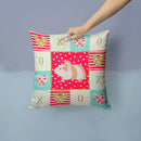 Silkie Guinea Pig Love Throw Pillow - 14x14 Decorative Pillow – Art for Your Home & Patio CK5434PW1414
