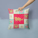 Persian Modern Cat Love Throw Pillow - 14x14 Decorative Pillow – Art for Your Home & Patio CK5672PW1414