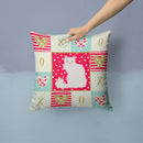 Asian Semi Longhaired Cat Love Throw Pillow - 14x14 Decorative Pillow – Art for Your Home & Patio CK5740PW1414