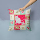 Chinchilla Persian Longhair Cat Love Throw Pillow - 14x14 Decorative Pillow – Art for Your Home & Patio CK5752PW1414