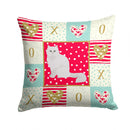 Chinchilla Persian Longhair Cat Love Throw Pillow - 14x14 Decorative Pillow – Art for Your Home & Patio CK5752PW1414