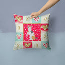 Japanese Bobtail Cat Love Throw Pillow - 14x14 Decorative Pillow – Art for Your Home & Patio CK5765PW1414