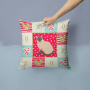 Siamese Traditional Cat Love Throw Pillow - 14x14 Decorative Pillow – Art for Your Home & Patio CK5787PW1414