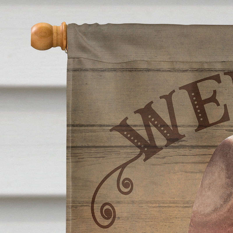 Sheltie Shetland Sheepdog Country Dog Flag Canvas House Size CK6359CHF