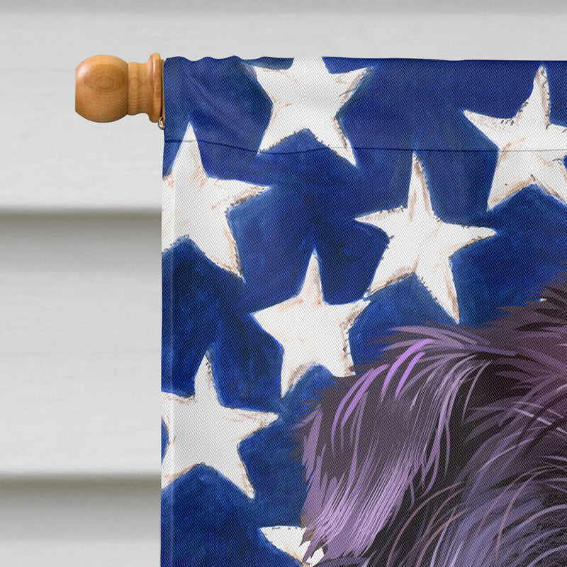 Affenpinscher American Flag Flag Canvas House Size CK6382CHF