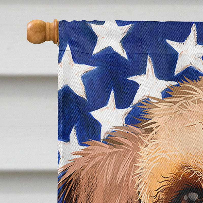 Airedale Terrier American Flag Flag Canvas House Size CK6385CHF