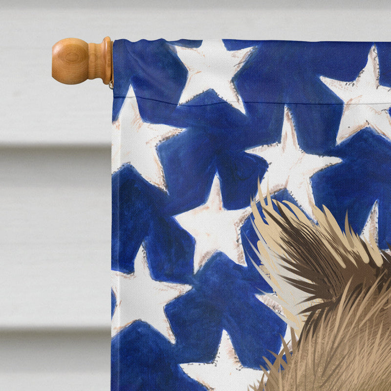 Alaskan Klee Kai American Flag Flag Canvas House Size CK6390CHF