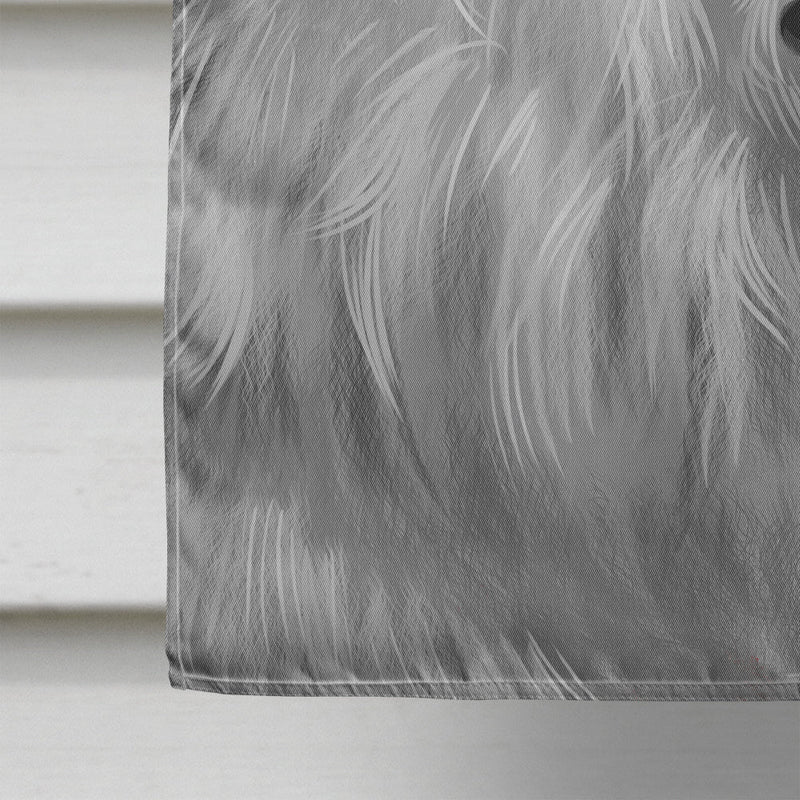 American Eskimo Dog American Flag Flag Canvas House Size CK6398CHF